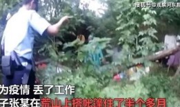 坟地吃瓜小说,吃瓜群众的神秘探险之旅