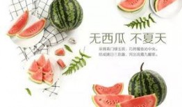 每日聪慧吃瓜潍坊