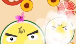 无限吃瓜在线观看,揭秘网络直播的狂欢盛宴