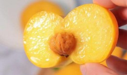 吃了桃子可不可以吃蜜瓜,揭秘桃子与蜜瓜的完美搭配