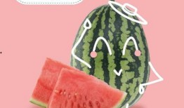 健康吃瓜酱,揭秘绿色饮食新风尚