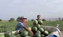 唐溪吃瓜,揭秘娱乐圈背后的那些事儿