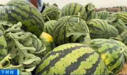 李大胆吃瓜趣事