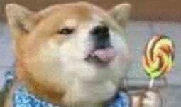 男生爱用吃瓜狗头表情,男生热爱的吃瓜狗头表情解析