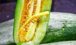 吃瓜的萝卜,揭秘瓜农的甜蜜生活