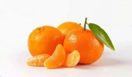 桔子吃蜜瓜微视,微视创意美食之旅