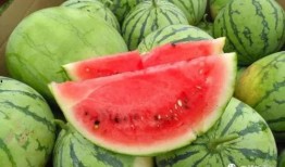 快速吃瓜后续,揭秘娱乐圈风云再起