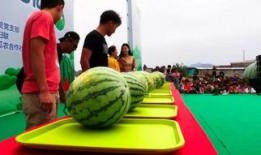 门市部吃瓜,揭秘日常趣事背后的温馨瞬间