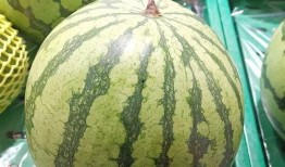 吃瓜就吃麒麟瓜,麒麟瓜，吃瓜就吃它！