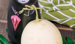 爱心吃瓜解说全集