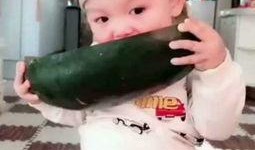 小朋友吃小瓜视频,小朋友欢乐吃小瓜瞬间