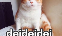 情感吃瓜段子,那些让人捧腹的情感吃瓜段子