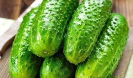 吃瓜越吃越瘦的说说,揭秘“吃瓜越吃越瘦”的神奇现象