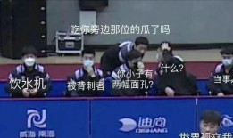 国乒吃瓜韩国,谁将问鼎冠军？