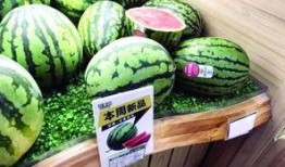 黄老板吃瓜,揭秘娱乐圈幕后真相