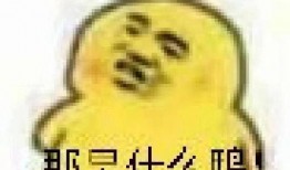 揭秘吃瓜图片表情包,吃瓜图片表情包背后的趣味与内涵