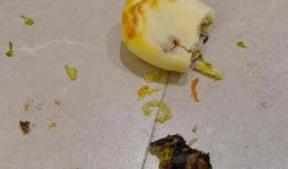 老鼠冒头吃瓜,瓜田里的神秘冒头事件