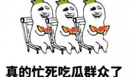 吃瓜搞事,揭秘网络舆论场的狂欢与风波