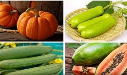 立秋几点 吃瓜呀,瓜果飘香，吃瓜指南大揭秘！