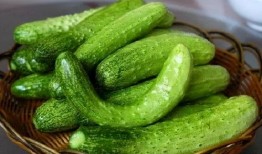 董月月吃瓜,揭秘娱乐圈幕后真相