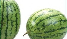 吃石瓜会不会过敏,食用需谨慎