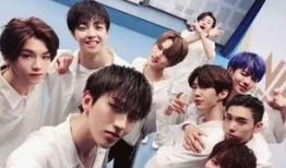 姨太的吃瓜大会ninepercent,揭秘Nine Percent背后的故事与真相