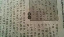 童年趣事作文吃瓜,回味那夏日的甜蜜时光