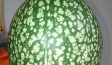 什么叫支持吃瓜