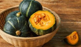 梦贝吃小瓜,梦贝与美味小瓜的奇幻之旅