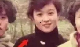 吃瓜小分队明星,明星们的幕后故事与真实生活