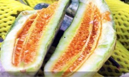 山东近期吃瓜事件,近期热点事件背后的社会观察